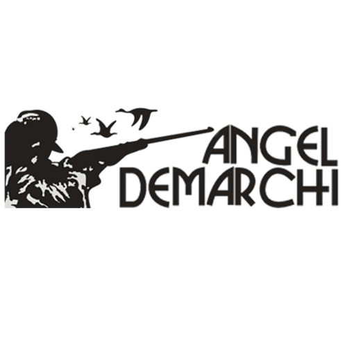 (c) Angeldemarchi.com.ar